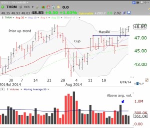 THRMcupandhandle